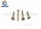 Metric Thread Standard Size Stainless Steel Slotted Self Tapping Screws