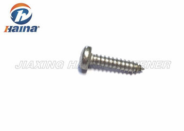 DIN 7981 Dwars In een nis gezet Pan Head Stainless Steel 304 316 Zelf Boorschroeven