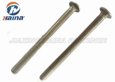 Ronde Hoofd vierkante hals 316 304 bus Bolts van de Roestvrij staal de Volledige Draad