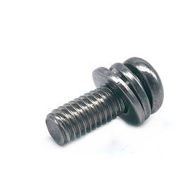 304 / 316 Schroeven van de Roestvrij staal Dwars Ronde Hoofdmachine