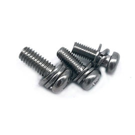 304 / 316 Schroeven van de Roestvrij staal Dwars Ronde Hoofdmachine