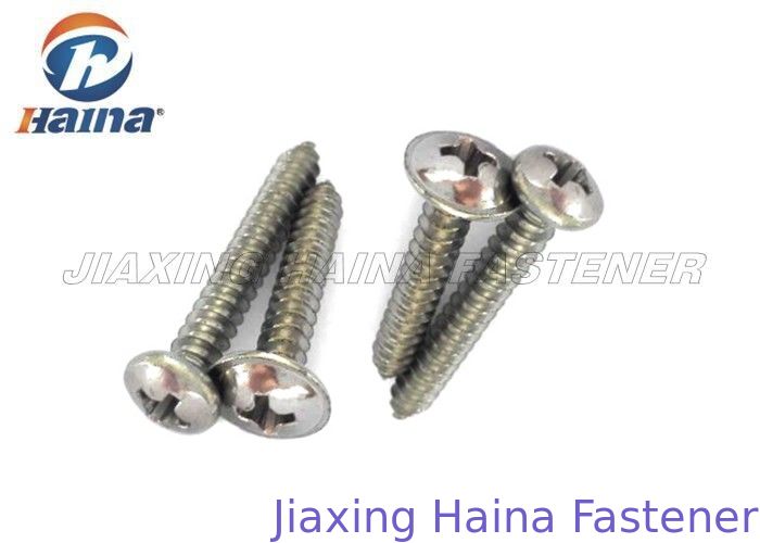 A2 A4 die Pan Head Cold Forging Philips Self Tapping Screws With Draad onttrekken